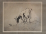 Toon de Jong