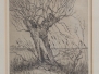 Piet de Vries